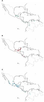 The relationships between dung beetles and monkeys in the Neotropical region
